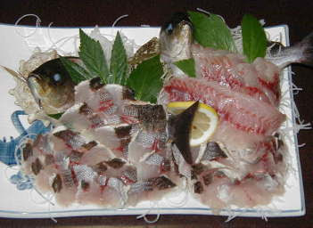 イサキ料理