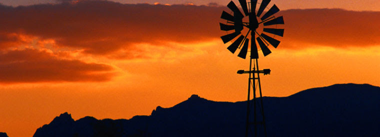 Arizona