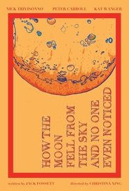 telecharger How the Moon Fell from the Sky and No One Even Noticed dvdrip french 2018