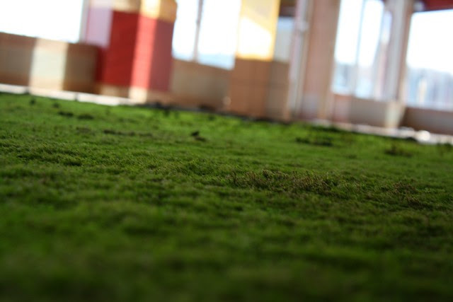 "Most of my friends think green, but can't afford to live it." -P.O.S.