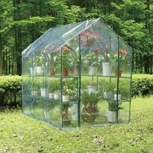 GARDEN GREENHOUSE 12 SHELVES PLASTIC COVER STEEL FRAME, EXTRA LARGE    plastic greenhouse large