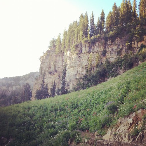 mt timpanogos on the little red house