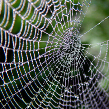 Lesson Plan Format A Spiderweb Lesson Plan Format A Spiderweb