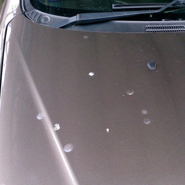 車の鳥の糞被害に対する対策 タイで思う