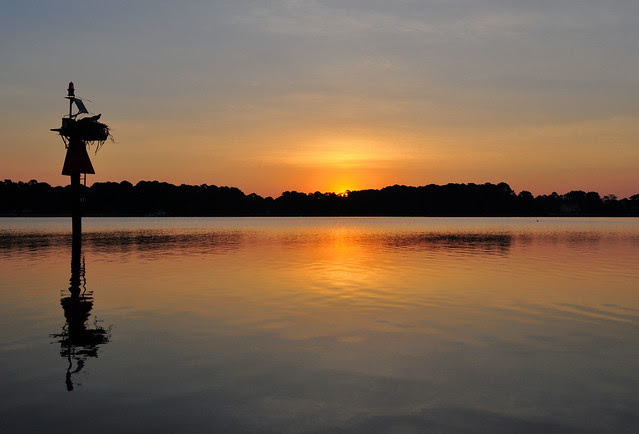 Tidewater Morning (2)