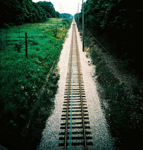 Railroad weeds