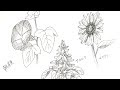 √70以上 ペン画 花 100235