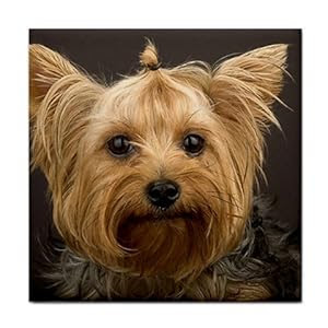 Yorkie puppy Ceramic Tile Coaster Great Gift Idea