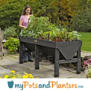 Elevated Raised Beds