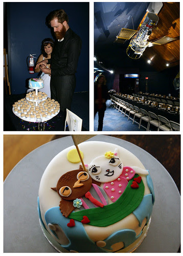 wedding cake! owl & pussycat!