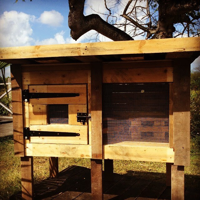 Wooden Pallet Cat House Design