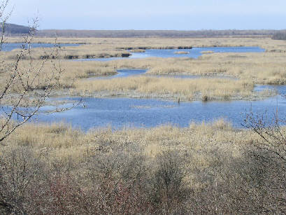 Srebarna Nature Reserve リンク集 遺産の概要説明 ウィキペディア スレバルナ自然保護区 The Nature Reserve Srebarna ブルガリアの世界遺産 ブルガリア政府観光局 在ブルガリア日本国大使館 地図表示 スレバルナ自然保護区