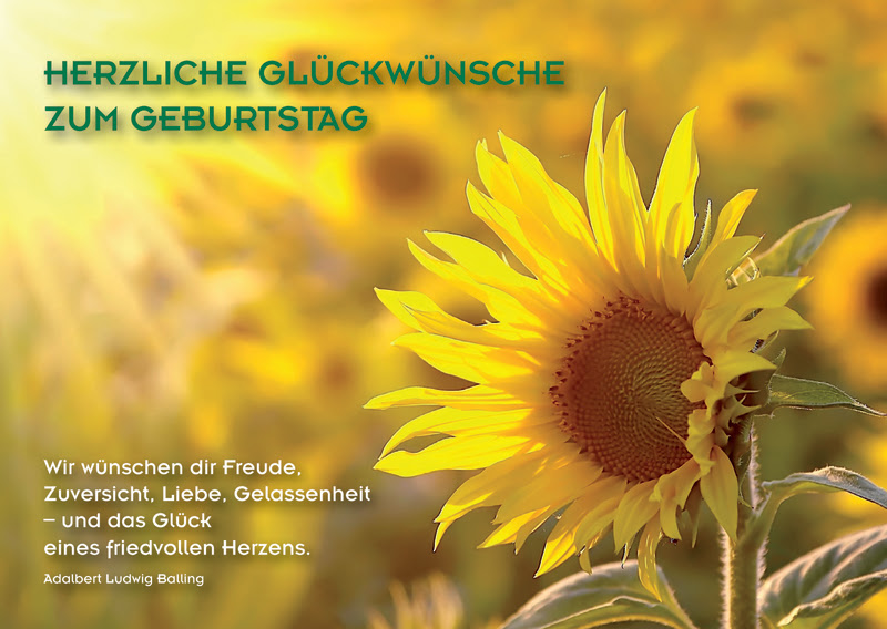 wünsche zum geburtstag blumen