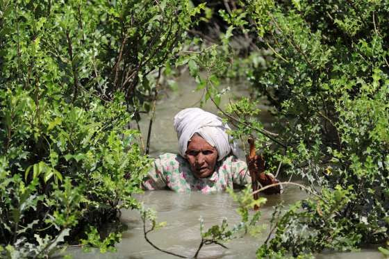 nenek rohingya