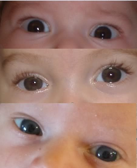 Les Yeux De Bebe Update A 3 Mois Mamans Et Futures Mamans Du Quebec Forum Grossesse Amp Bebe Doctissimo