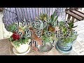 √99以上 多肉植物 寄せ植え 鉢 おしゃれ 229608-多肉植物 寄せ植え 鉢 おしゃれ
