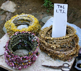 DSC07634 - Version 2