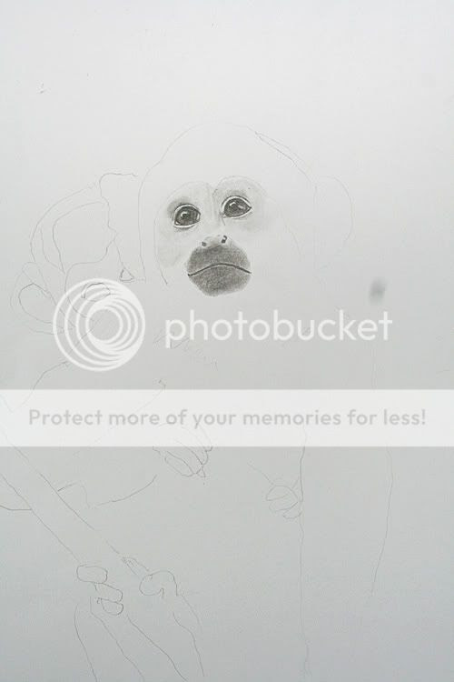 Boliviaanse Doodshoofdaap+baby W.I.P en af 04-05 - SchilderenEnzo