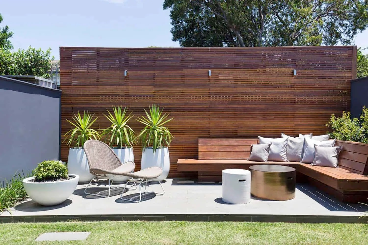 Tropical backyard