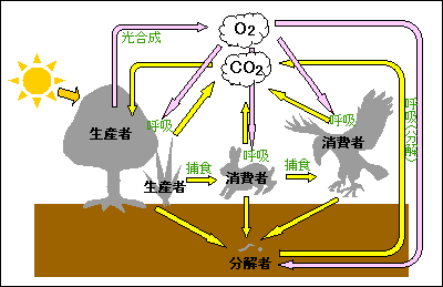 物質の循環