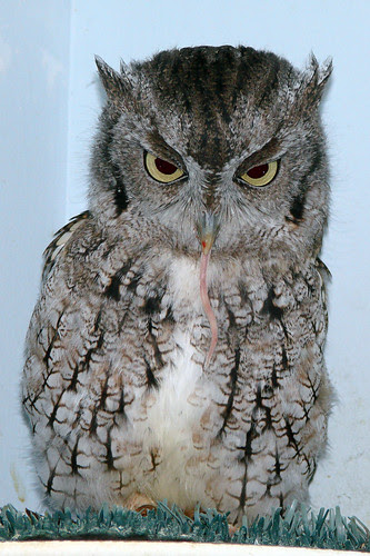 Archimedes