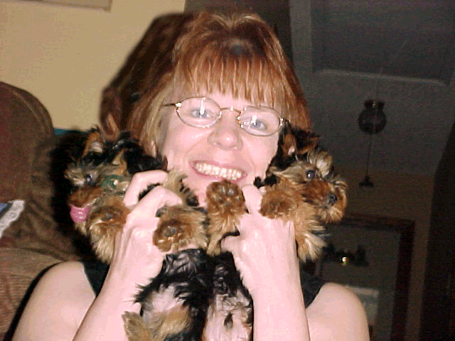 Tiffany Taylor Wallpapers. Tiffany Taylor 1; Tiffany Taylor 1. anthonymoody. Aug 28, 03:12 PM. With the switch to Intel, tiffany taylor wallpapers. Tiffany Taylor Wallpapers. Tiffany Taylor 1; Tiffany Taylor 1. anthonymoody. Aug 28, 03:12 PM. With the switch to Intel,