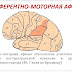 Афазія - No two people with aphasia are alike with respect to severity, former speech and language skills, or personality.