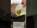 جولة داخل معاصرنا في العريش زيت زيتون سيناوي