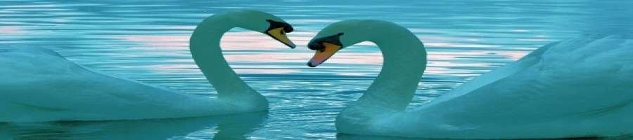 BannerFans.com