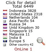 web page counter