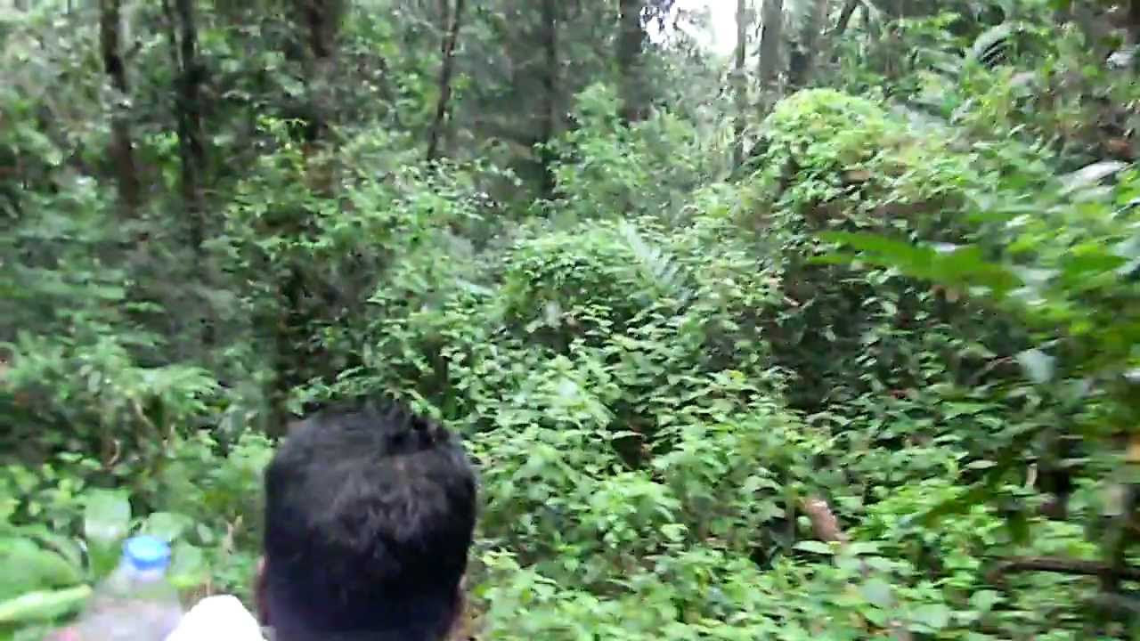 maxresdefault