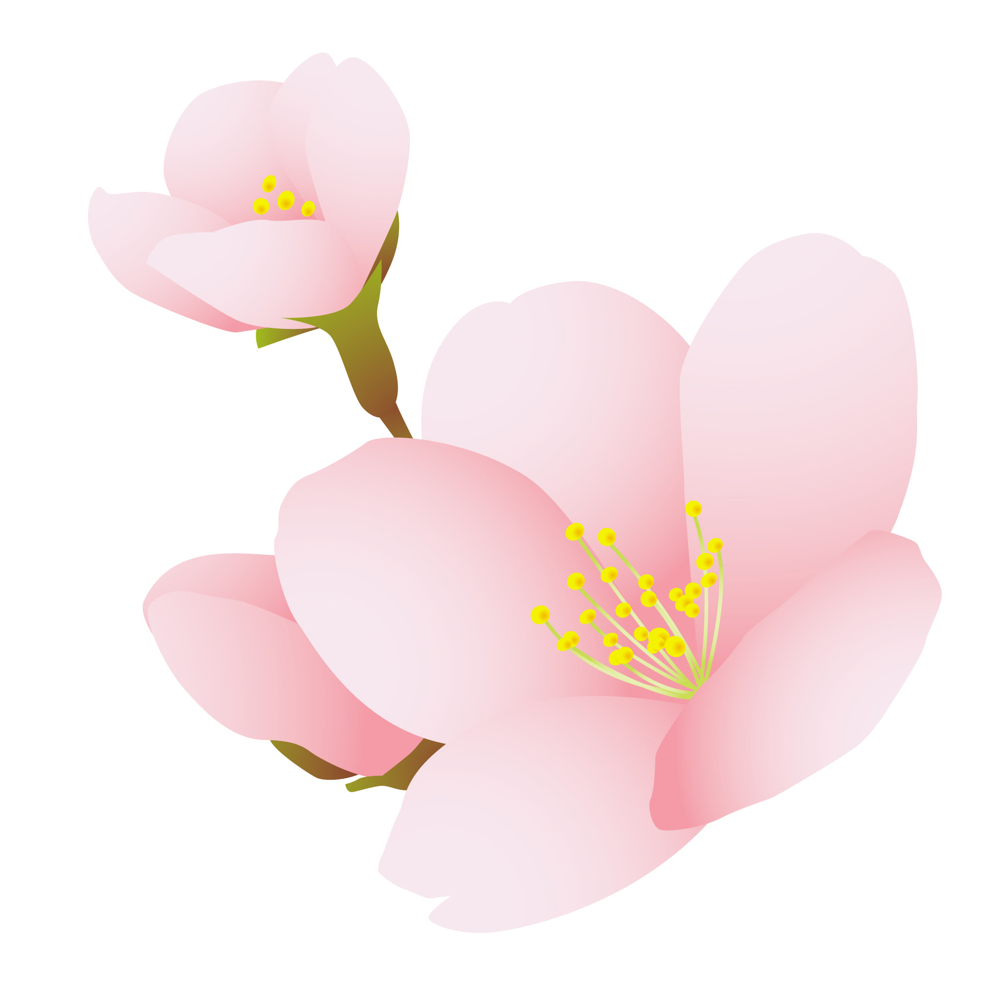 花のイラスト 無料 4月