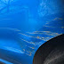 Automotive Scratch Repair Near Me : We specialize in car scratch repair, bumper repairs and other car body repairs.