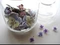 [新しいコレクション] 砂糖漬け 花 種類 131488