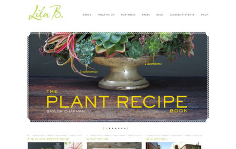 Website and Graphic Design Service South Lake Tahoe