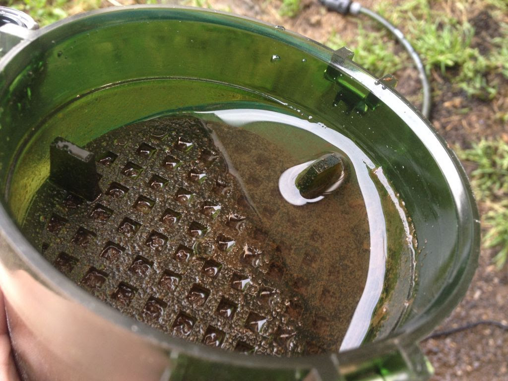 水槽大掃除 構成を新たに大幅リニューアル 掃除編 掃除
