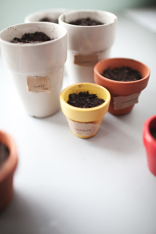 pots1 copy