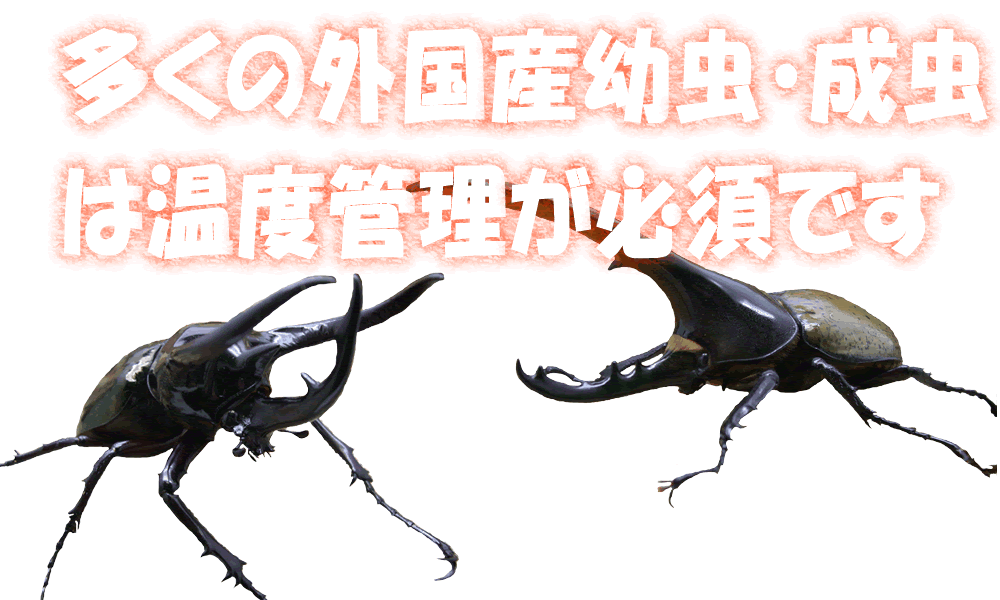 ヒーター 保温関連 フジコン