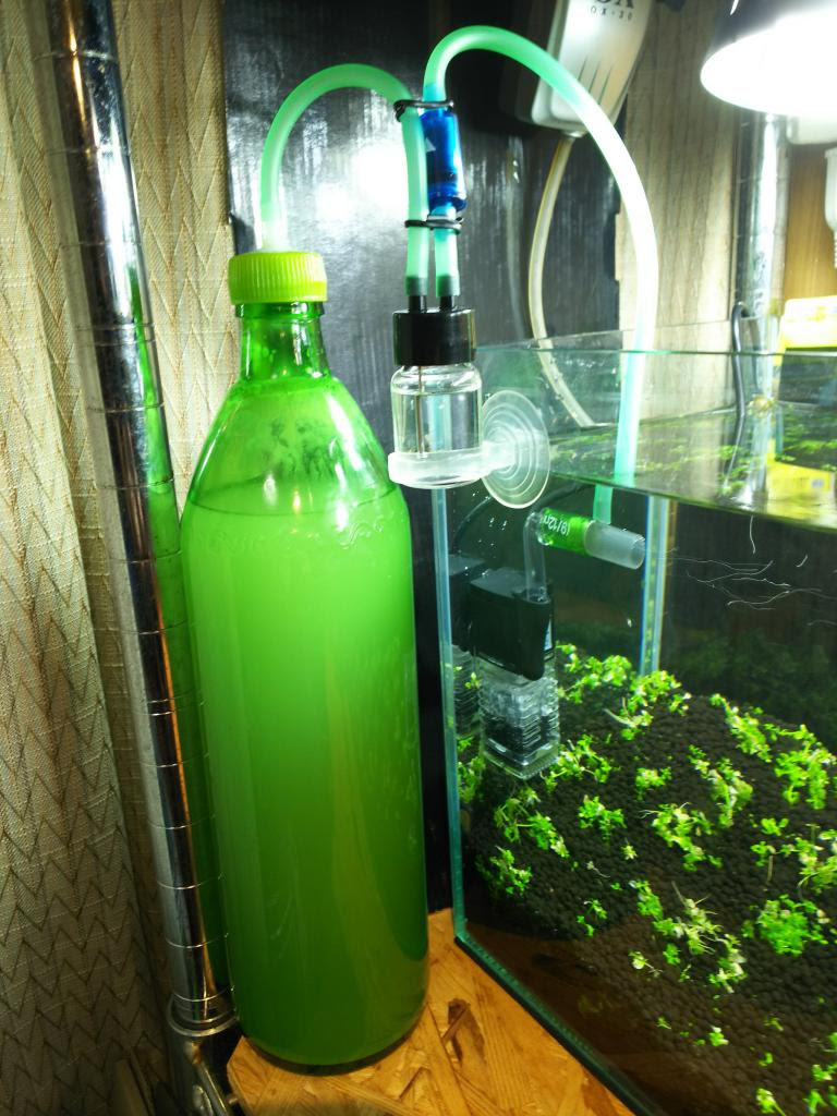パールグラス水槽 発酵式co2記録 アクアルバム