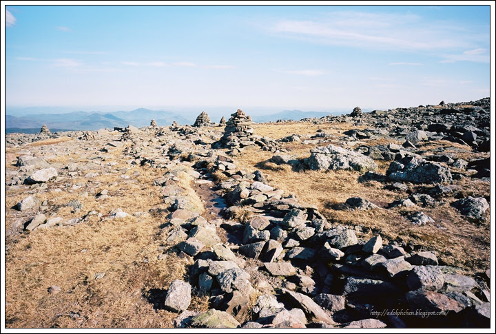 Film_135_090519_EKTAR__23