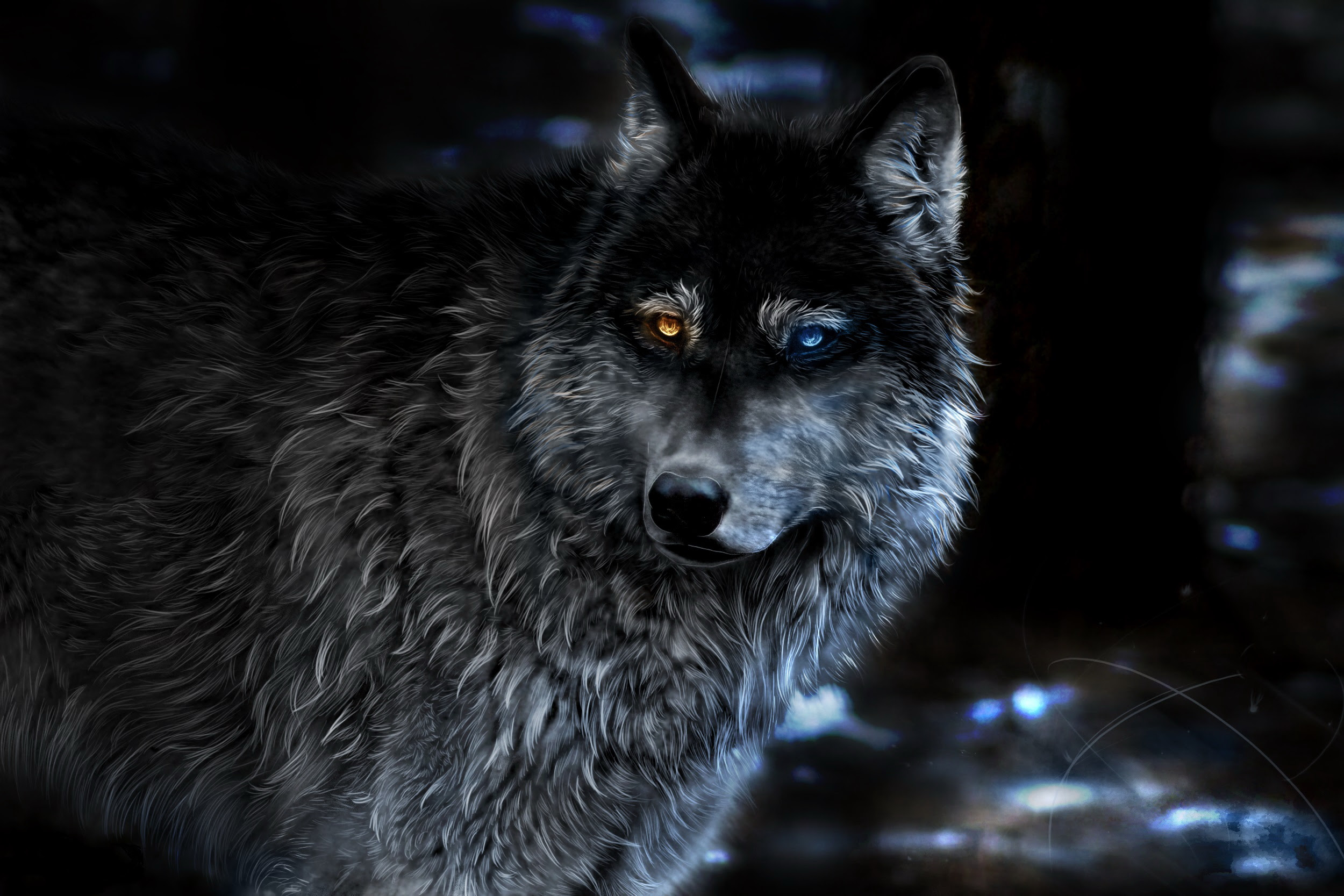 Wolf Heterochromia Fantasy, HD Artist, 4k Wallpapers ...