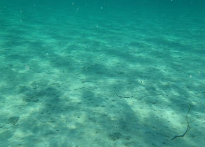 Spiaggia Girin, Isola di San Pietro