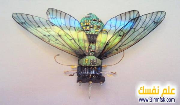 An-artist-turns-old-circuit-boards-and-electronic-components-into-beautiful-insects