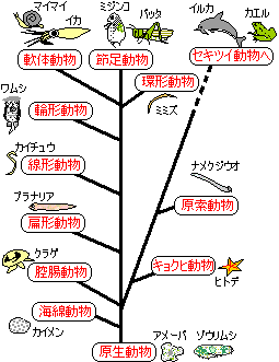 二界説と五界説