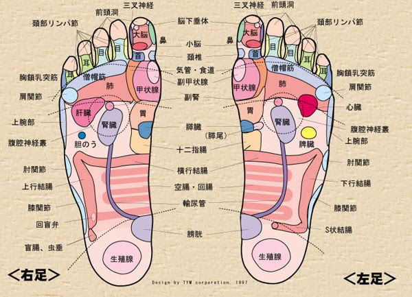 足つぼマッサージを自分で刺激する際のもっとも効果的なやり方 日本足ツボ協会