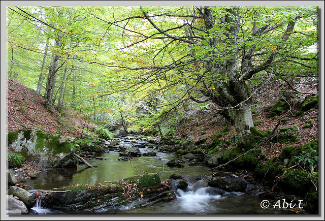 1 Tres Aguas