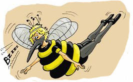 les photos des Zebres