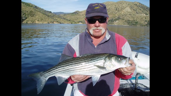 Lake Fishing For Bass - Lake Mohave Bass Fishing - Bass are a very active fish who can be aggressive feeders.