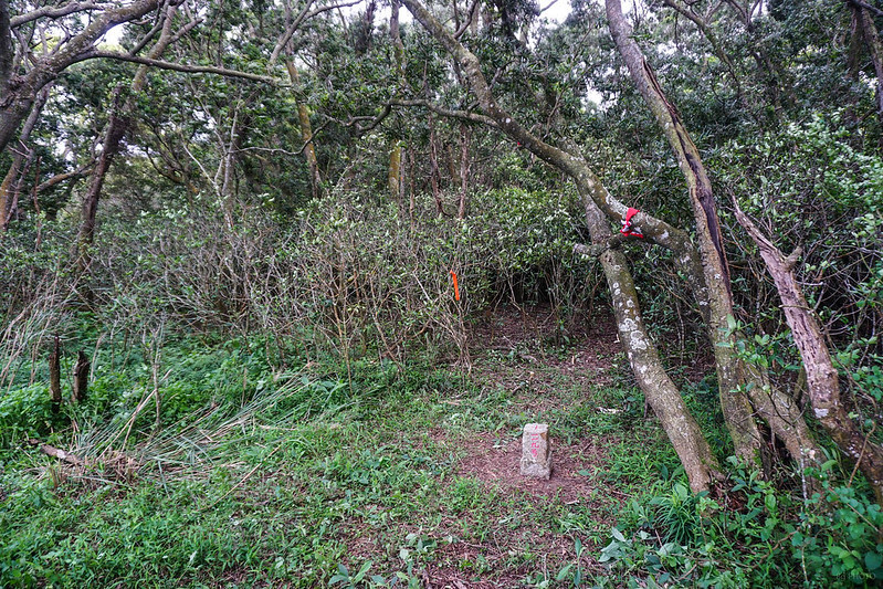 DSC05111