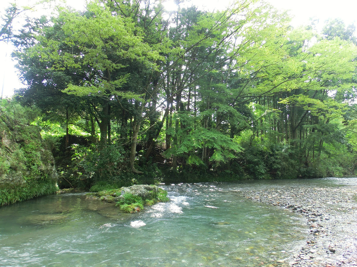 川遊び 水遊び 魚とり 自然の川 埼玉 高麗川 関東埼玉県日高市 関東東京遊び場日帰りドライブマップ 家族子供のお出かけスポット